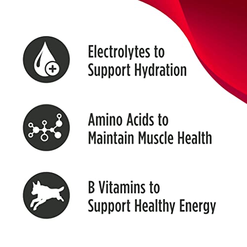 Nulo Hydrate for Dogs Water Flavoring, Beef Brisket Flavor, Pack of 12 - Tasty Dog Water Enhancer with Electrolytes, Amino Acids, B-Vitamins - Premium Water Supplement for Dogs (192 Servings)
