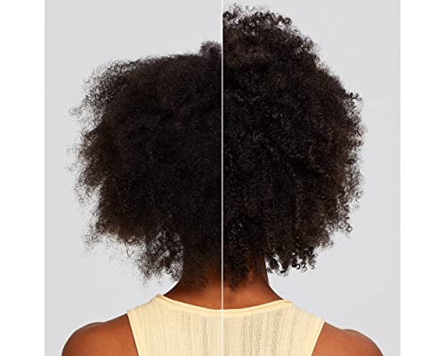 Paul Mitchell Clean Beauty Everyday Conditioner, Ultra-Rich Formula, Improves Elasticity, For All Hair Types, 33.8 fl. oz.