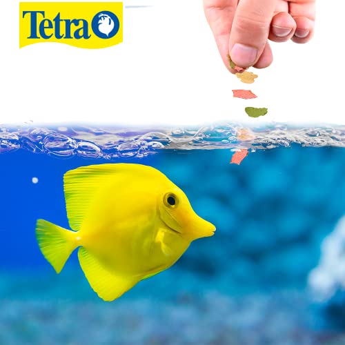TetraMarine Saltwater Flakes 5.65 Ounces, Balanced Diet For All Marine Fish