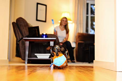 Chuckit! Indoor Shaker Dog Toy Ball, Medium breeds