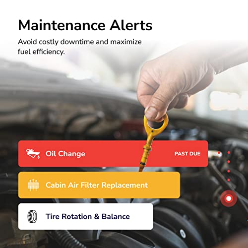 Kayo Business Fleet, GPS Tracker for Vehicles, 4G LTE and 5G, Real-Time GPS Tracking, 14-Day Free Trial, Simple Activation, Simple Plug-in Car GPS Tracker - 1 Pack