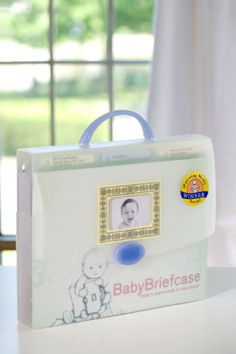 Baby Briefcase Baby Paperwork Organizer, Mint/Periwinkle