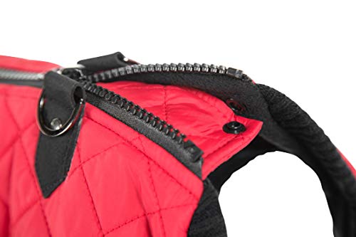 Gooby Fashion Vest Dog Jacket - Red, X-Large - Warm Zip Up Dog Bomber Vest with Dual D Ring Leash - Winter Water Resistant Small Dog Sweater - Dog Clothes for Small Dogs Boy or Medium Dogs