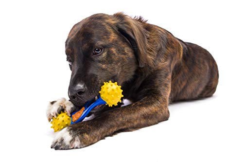 Hartz Chew 'n Clean Bounce and Bite Bacon Flavored Dental Dog Chew Toy and Treat - Large