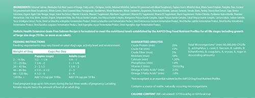 Health Extension Dry Dog Food, Natural Food with Added Vitamins and Minerals, Suitable for All Puppies, Grain Free, Salmon Recipe with Whole Vegetable and Berries (10 Pound)