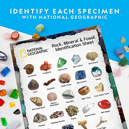 NATIONAL GEOGRAPHIC Rock Collection Box for Kids – 200+ Piece Gemstones and Crystals Set Includes Geodes and Real Fossils, Rocks and Minerals Science Kit for Kids, A Geology Gift for Boys and Girls