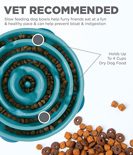 Outward Hound Fun Feeder Slo Bowl, Slow Feeder Dog Bowl, Large/Regular, Turquoise