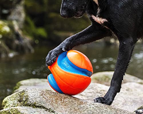 Chuckit Kick Fetch Ball Dog Toy, Large (8 Inch)