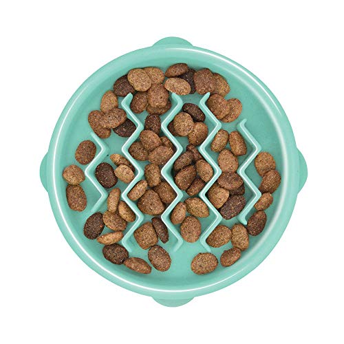 Outward Hound Fun Feeder Slo Bowl, Slow Feeder Dog Bowl, Small/Tiny, Mint