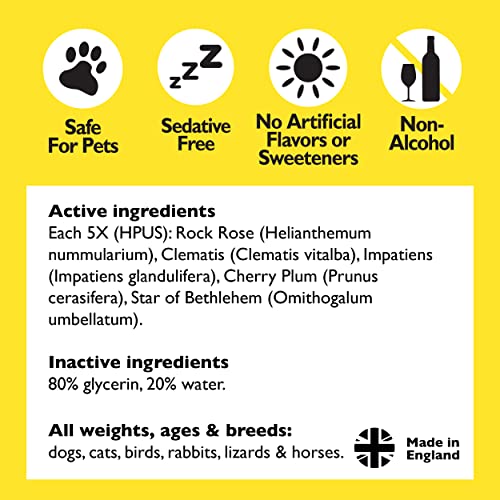 Bach RESCUE REMEDY PET Dropper 20mL, Natural Stress Relief, Calming for Dogs, Cats, and Other Pets, Homeopathic Flower Essence, Thunder, Fireworks and Travel, Separation, Sedative-Free