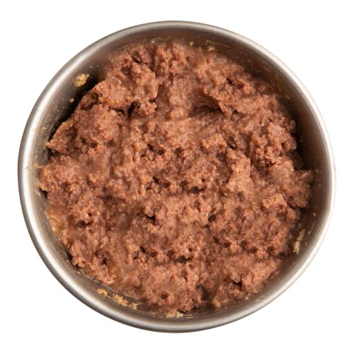 Health Extension Wet Dog Food Canned, Grain-Free, Natural Food for All Puppies and Dogs with Added Vitamins and Mineral, Salmon Recipe (12.5 Oz / 362 g) (Pack of 12)