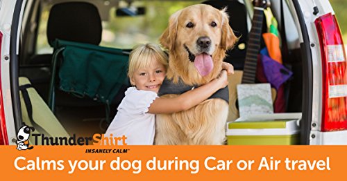 ThunderShirt for Dogs, Small, Pink Polo - Dog Anxiety Vest