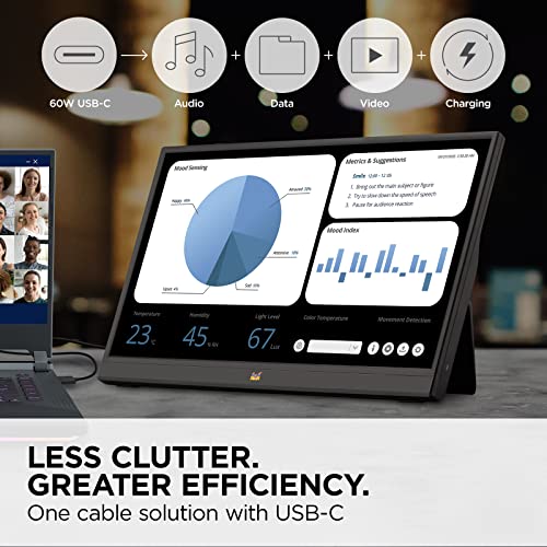 ViewSonic VA1655 15.6 Inch 1080p Portable IPS Monitor with Mobile Ergonomics, USB C, Mini HDMI and a Protective Case for Home and Office