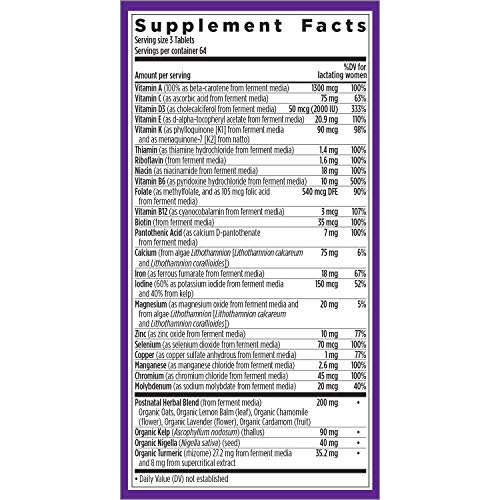 New Chapter, Postnatal Vitamins Lactation Supplement with Fermented Probiotics + Wholefoods + Vitamin D3 + B Vitamins + Organic NonGMO Ingredients , Multi, 192 Count