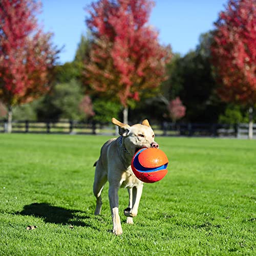 Chuckit Kick Fetch Ball Dog Toy, Large (8 Inch)