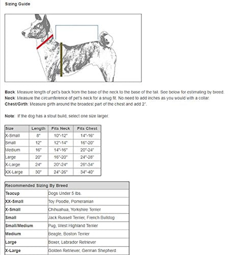 Casual Canine Basic Hoodie for Dogs, 8' XS, Pink