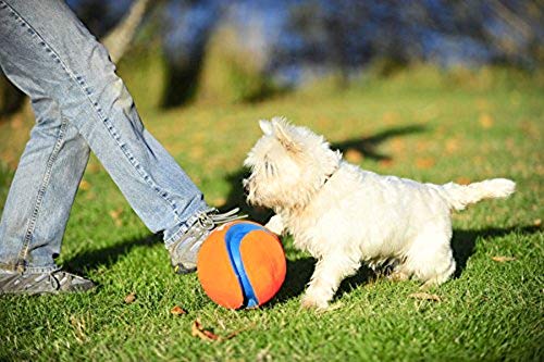 Chuckit Kick Fetch Ball Dog Toy, Small (6 Inch)