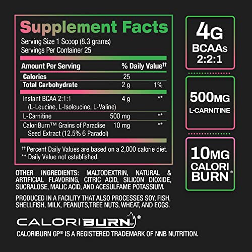 BPI Sports Best BCAA Shredded - Converts Fat to Energy - Weight Loss and Lean Muscle Support - Post-Workout Recovery - Watermelon Ice, 25 Servings, 275 g