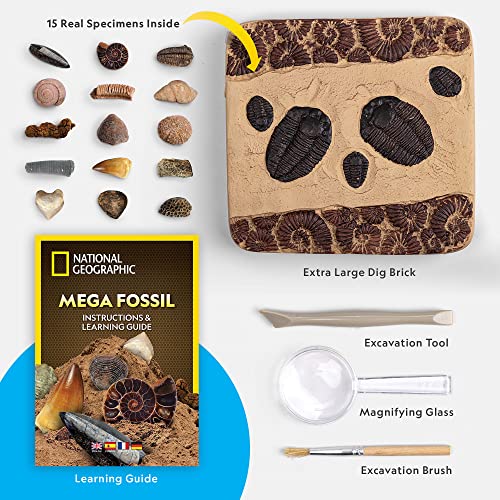 NATIONAL GEOGRAPHIC Mega Fossil Dig Kit - Excavate 15 Prehistoric Fossils Including Dinosaur Bones and Shark Teeth, Educational Toys, Great Science Kit Gift for Girls and Boys (Amazon Exclusive)