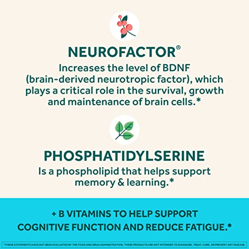 NEURIVA Plus Brain Supplement for Memory,Focus and Concentration+Cognitive Function with Vitamins B6 and B12 and Clinically Tested Nootropics Phosphatidylserine and Neurofactor,50ct Strawberry Gummies