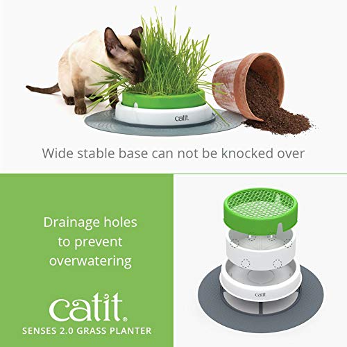 Catit Senses 2.0 Cat Grass Planter, Interactive Cat Toys