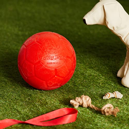 Jolly Pets Large Soccer Ball Floating-Bouncing Dog Toy, 8 inch Diameter, Orange