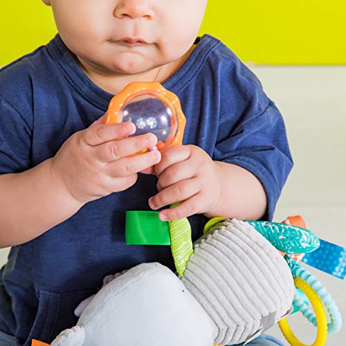 Bright Starts Playful Pals Activity Take-Along Toy, Rhino, Newborn +