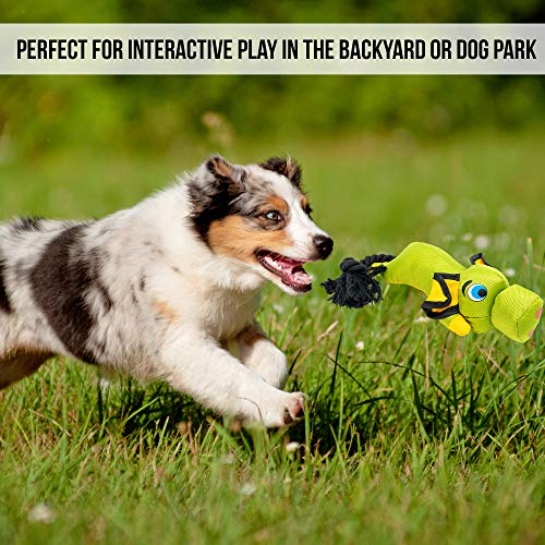 Hyper Pet Flying Series Fetching Dog Toys – Pig Interactive Dog Toy Slingshots Up To 40 ft – Floats on Water