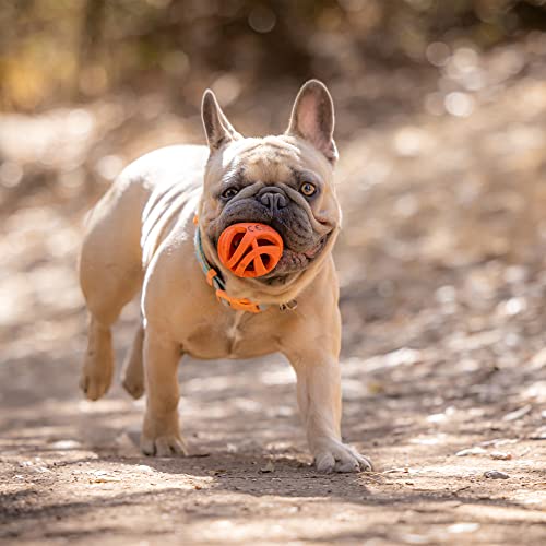 Chuckit! Air Fetch Ball Dog Toy, Medium