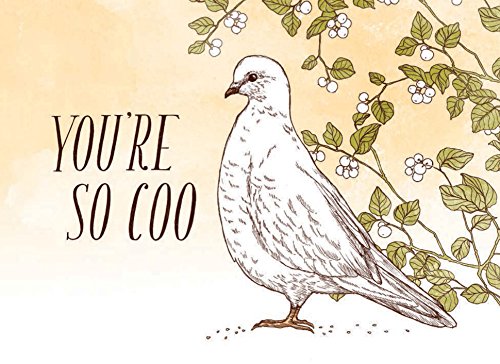 Have a Little Pun: 16 Notecards and Envelopes