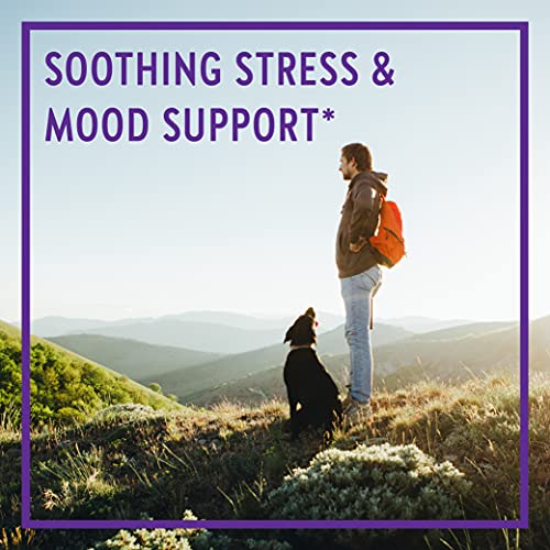 New Chapter Perfect Calm Multivitamin for Stress + Mood Support with B Vitamins + Holy + Lemon Balm + Organic Non-GMO Ingredients, Basil, 144 Count (Pack of 1)