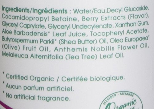 Aleva Naturals Bubble Bath | Long Lasting Moisture for Sensitive Skin | Made with Natural and Organic Ingredients with Fresh Berry Scent | for Newborn Babies and Toddlers - 8 Fl Oz