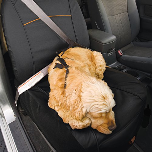 Kurgo CoPilot Bucket Seat Cover for Dogs, Dog Front Seat Cover, Pet Seat Protector, Water and Stain Resistant, Universal Fit, Black
