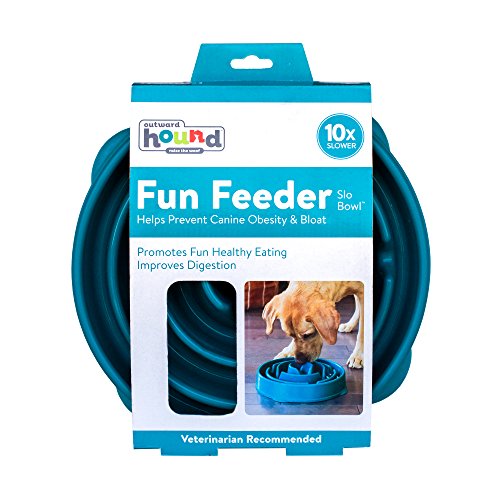 Outward Hound Fun Feeder Slo Bowl, Slow Feeder Dog Bowl, Large/Regular, Turquoise
