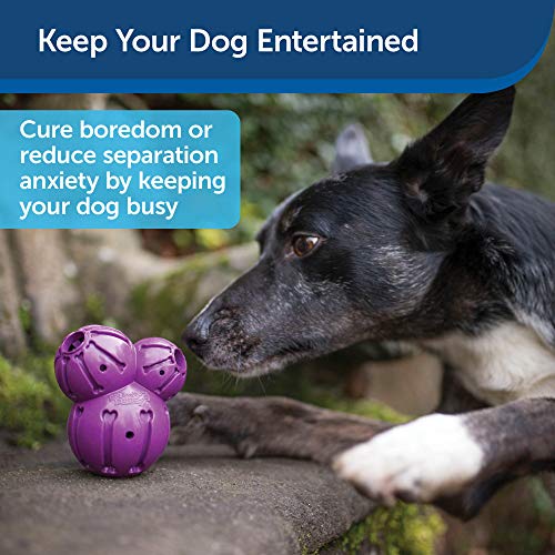 PetSafe Busy Buddy Barnacle - Dog Chew Toy - Treat Dispensing Dog Toys Small