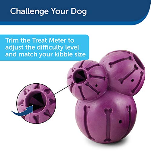 PetSafe Busy Buddy Barnacle - Dog Chew Toy - Treat Dispensing Dog Toys Small