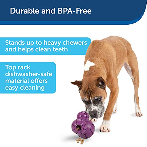 PetSafe Busy Buddy Barnacle - Dog Chew Toy - Treat Dispensing Dog Toys Small