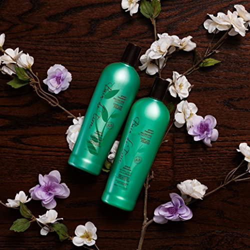 Bain de Terre Balancing Conditioner | Green Meadow | Normal to Oily Hair | Argan and Monoi Oils | Paraben Free | 13.5 Fl Oz