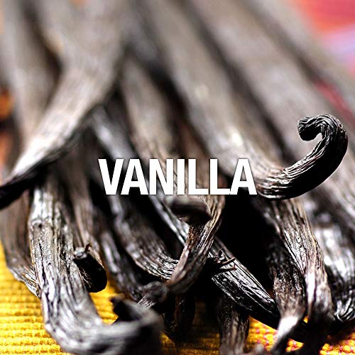 Curve Spark Eau De Toilette Perfume Spray, Perfume for Women 1.0oz