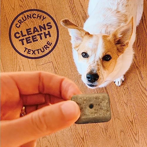 Old Mother Hubbard by Wellness Mother's Solutions Minty Fresh Breath Natural Dog Treats