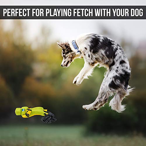 Hyper Pet Flying Series Fetching Dog Toys – Pig Interactive Dog Toy Slingshots Up To 40 ft – Floats on Water