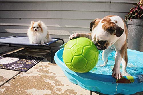 Jolly Pets Large Soccer Ball Floating-Bouncing Dog Toy, 8 inch Diameter, Apple Green