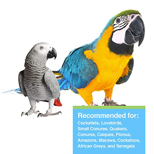 Hari Tropican Bird Food, Hagen Parrot Food Biscuits with Vitamins and Minerals for Birds Needing Extra Nutrition, High Performance Formula, 3.3 lb Bag