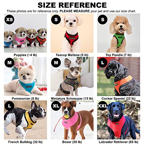 Authentic Puppia Soft Harness, Grey, Large