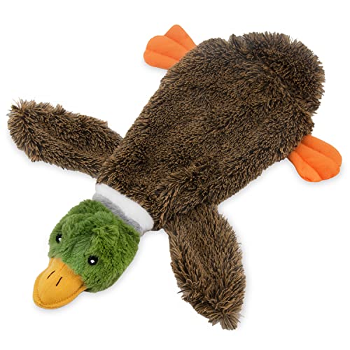 Best Pet Supplies 2-in-1 Stuffless Squeaky Dog Toys with Soft, Durable Fabric for Small, Medium, and Large Pets, No Stuffing for Indoor Play, Holds a Plastic Bottle - 1Wild Duck, Medium