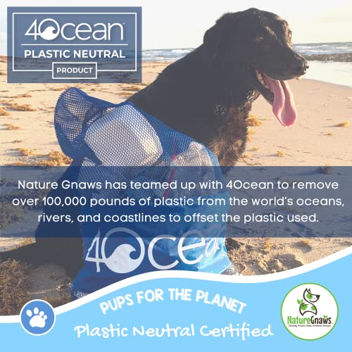 Nature Gnaws USA Turkey Tendons for Dogs - Premium Natural Chew Treats for Dogs - Delicious Reward Snack for Small Medium and Large Dogs - Made in The USA 4 oz Bag