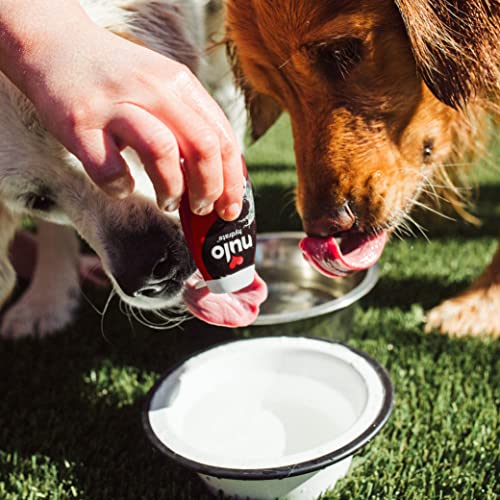 Nulo Hydrate for Dogs Water Flavoring, Beef Brisket Flavor, Pack of 12 - Tasty Dog Water Enhancer with Electrolytes, Amino Acids, B-Vitamins - Premium Water Supplement for Dogs (192 Servings)