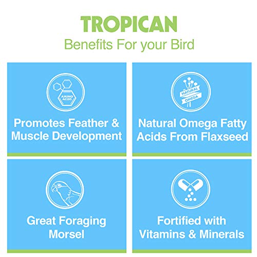 Hari Tropican Bird Food, Hagen Parrot Food Biscuits with Vitamins and Minerals for Birds Needing Extra Nutrition, High Performance Formula, 3.3 lb Bag