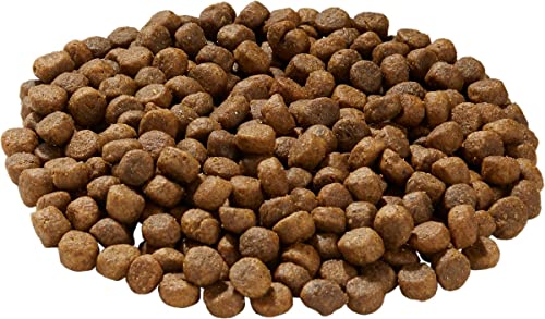 Health Extension Dry Dog Food, Natural Food with Added Vitamins and Minerals, Suitable for All Puppies, Include Venison Recipe with Whole Vegetable and Berries (4 Pound)