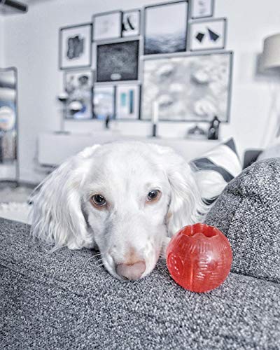 SPOT Play Strong Medium Ball 3.25” | Dog Toys For Aggressive Chewers | Indestructible Dog Toys | Bone | Chew Toys For Aggressive Dogs | Interactive Dog Toy | Dog Chew Toys For Aggressive Chewers
